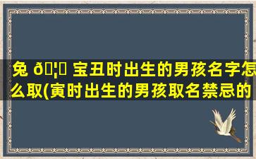 兔 🦉 宝丑时出生的男孩名字怎么取(寅时出生的男孩取名禁忌的字)